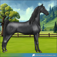 Horse Color:Black 