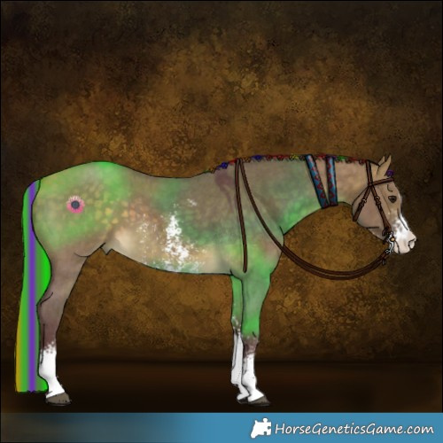Horse Color:Painted Chocolate Buckskin Dun Sabino 