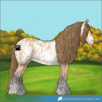 Horse Color:Amber Cream Champagne Appaloosa and Amber Cream Champagne Frame Appaloosa