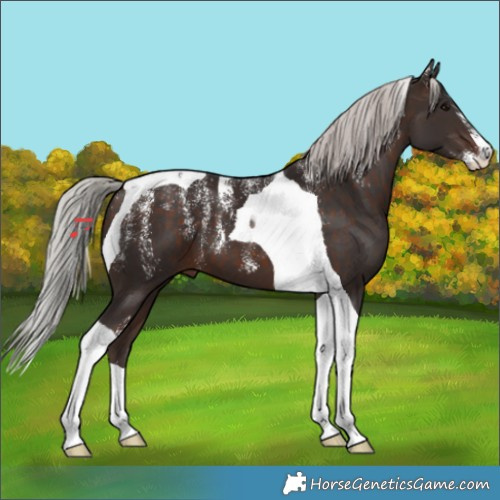 Horse Color:Powder White Silver Brown Tobiano 