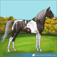 Horse Color:Powder White Silver Brown Tobiano