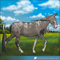 Horse Color:Powder White Gray Grullo