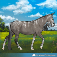 Horse Color:Powder White Gray Grullo