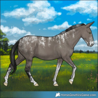 Horse Color:Powder White Gray Grullo 