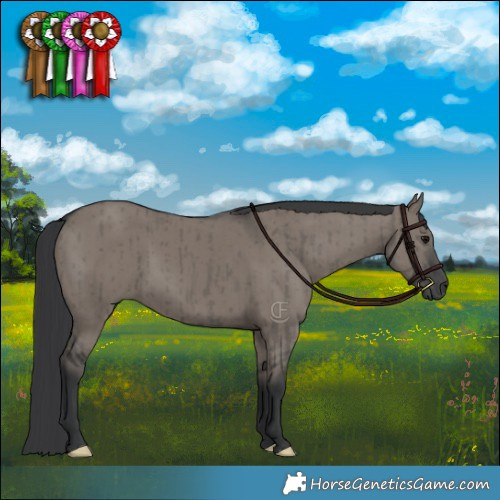 Horse Color:Grullo Brindle