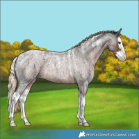 Horse Color:Powder White Liver Red Roan Splash
