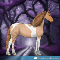 Horse Color:Red Roan Tobiano 