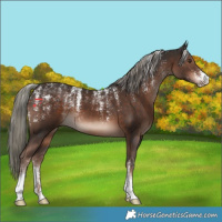 Horse Color:Powder White Liver Chestnut Mushroom