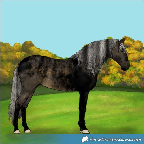 Horse Color:Powder White Void Silver Buckskin Tobiano 