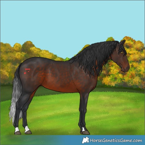 Horse Color:Brown 