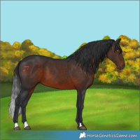Horse Color:Brown 