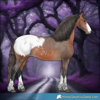 Horse Color:Bay Snowcap 