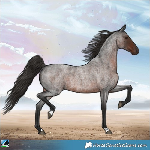 Horse Color:Liver Red Roan Rabicano