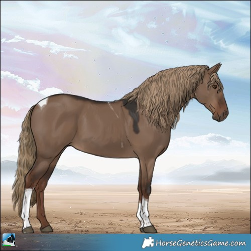 Horse Color:Liver Red Dun Tobiano