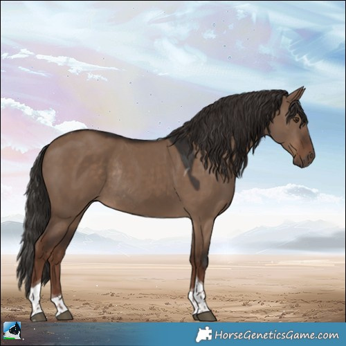 Horse Color:Liver Red Dun Tobiano Rabicano 