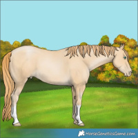 Horse Color:Smoky Black Pearl 