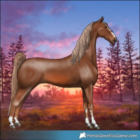 Horse Color:Chestnut 