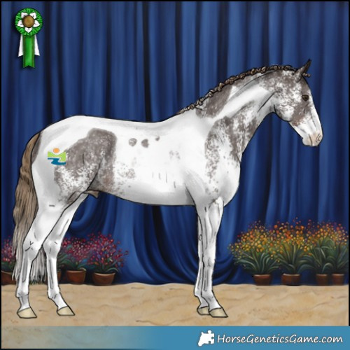 Horse Color:White Spotted Liver Chestnut Tobiano Rabicano 