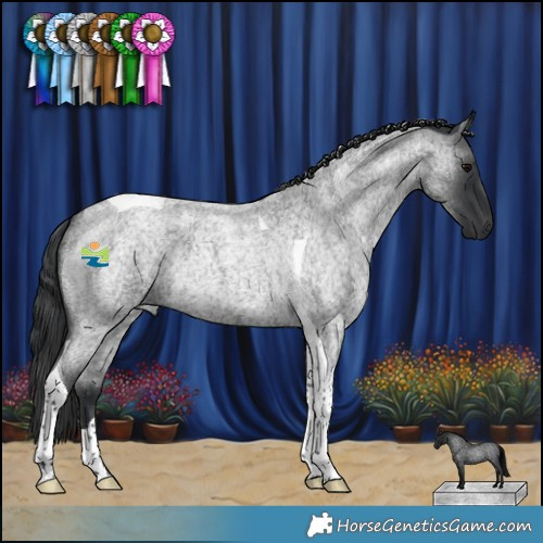 Horse Color:Blue Roan Tobiano Rabicano 