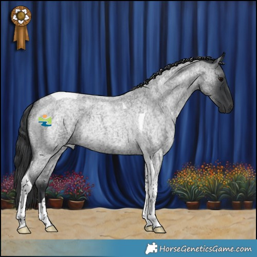 Horse Color:Blue Roan Tobiano Rabicano 