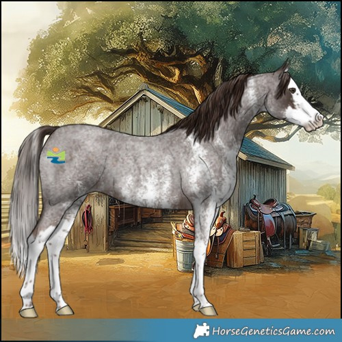 Horse Color:White Spotted Liver Red Roan Splash Rabicano 