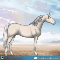 Horse Color:Cremello Tobiano Frame 