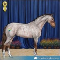 Horse Color:Gray Red Roan