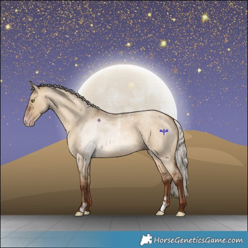 Horse Color:Powder White Gray Silver Sable Champagne Roan Dun 