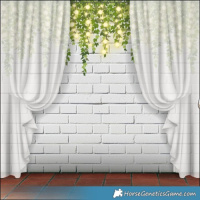 Horse Color:Powder White Black 