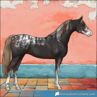 Horse Color:Powder White Liver Chestnut 