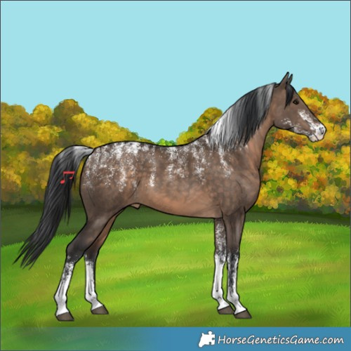 Horse Color:Powder White Brown Dun 