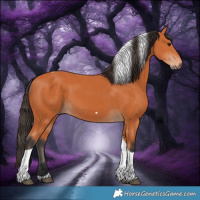 Horse Color:Bay Tobiano 