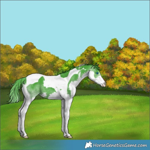 Horse Color:Watercolor Smoky Black Sabino Splash Tobiano 