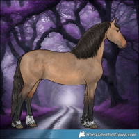Horse Color:Bay Dun 