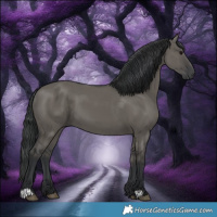 Horse Color:Grullo 