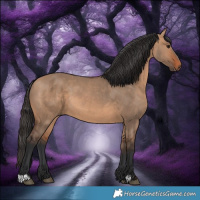 Horse Color:Bay Dun
