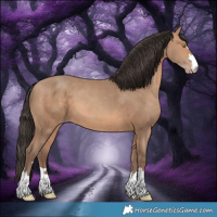 Horse Color:Amber Champagne 