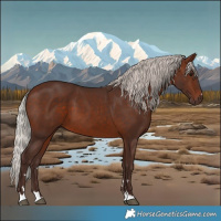Horse Color:Silver Brown 