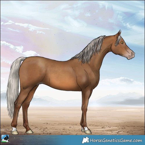 Horse Color:Gray Silver Sable Champagne