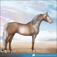Horse Color:Gray Silver Sable Champagne 