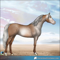Horse Color:Gray Silver Sable Champagne