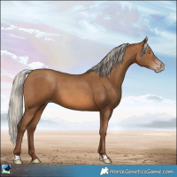 Horse Color:Gray Silver Sable Champagne 