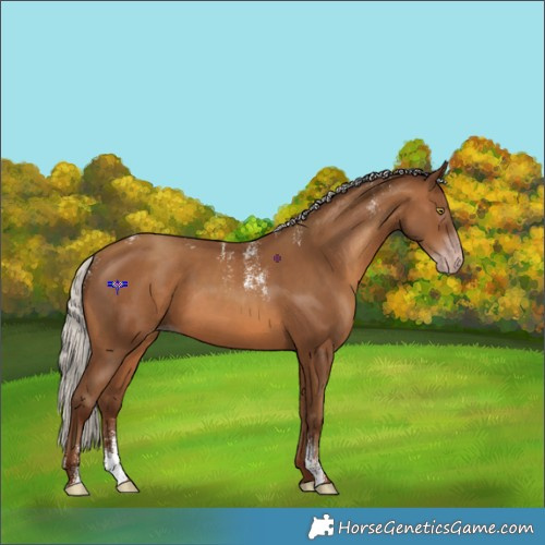 Horse Color:Powder White Gray Silver Sable Champagne 