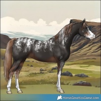 Horse Color:Powder White Liver Chestnut 