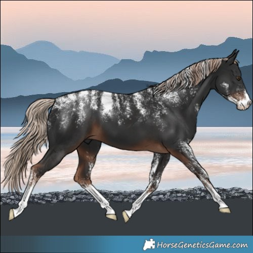 Horse Color:Powder White Liver Chestnut 
