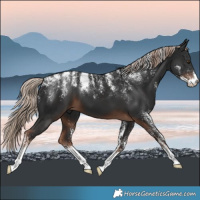 Horse Color:Powder White Liver Chestnut 