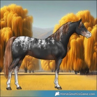 Horse Color:Powder White Liver Chestnut