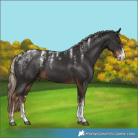 Horse Color:Powder White Liver Chestnut 