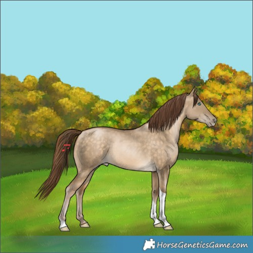 Horse Color:Buckskin Pearl Dun Tobiano 
