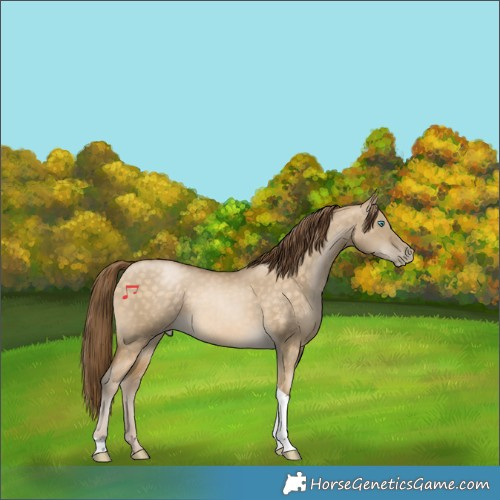 Horse Color:Buckskin Pearl Dun Tobiano 